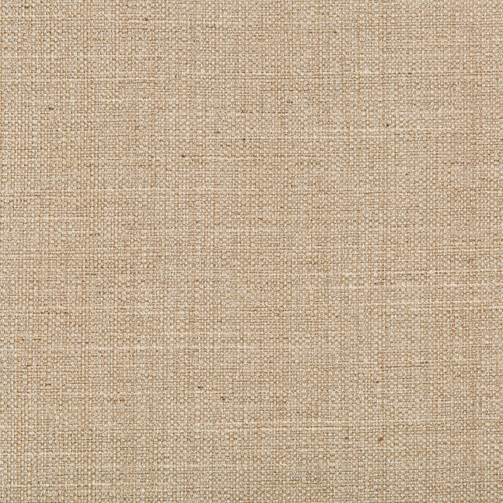 4665-16 by Kravet Basics Designer Fabric - POLYESTER - 83%;RAYON - 12%;COTTON - 5% India HEAVY Horizontal: 0 and Vertical: 0 55 - Swanky Fabrics -