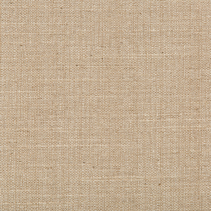 4665-16 by Kravet Basics Fabric - POLYESTER - 83%;RAYON - 12%;COTTON - 5% India HEAVY Horizontal: 0 and Vertical: 0 55 - Fabric Carolina -