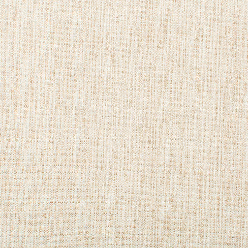 Kravet Basics 4665-1 by Kravet Basics Fabric Kravet Basics Fabric Kravet Basics 4665-1Fabric POLYESTER - 83%;RAYON - 12%;COTTON - 5% India </p><p>Repeat: H: , V: 55 - Fabric Carolina -