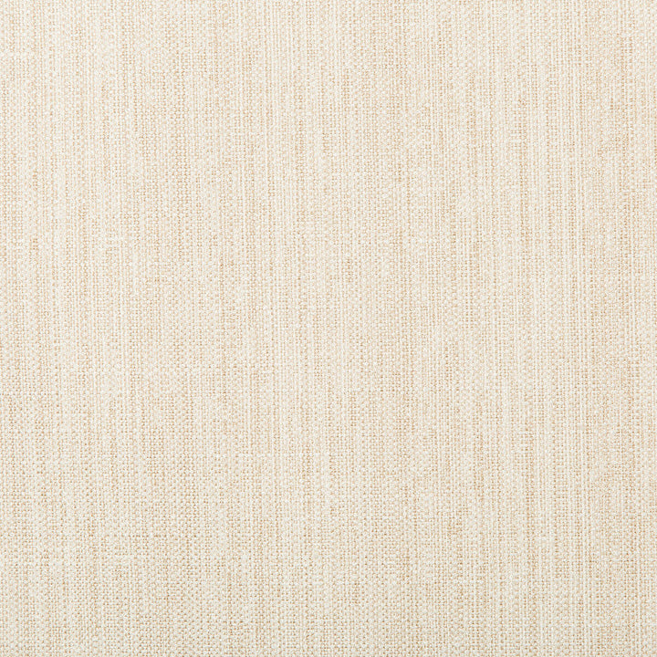 Kravet Basics 4665-1 by Kravet Basics Fabric Kravet Basics Fabric Kravet Basics 4665-1Fabric POLYESTER - 83%;RAYON - 12%;COTTON - 5% India </p><p>Repeat: H: , V: 55 - Fabric Carolina -