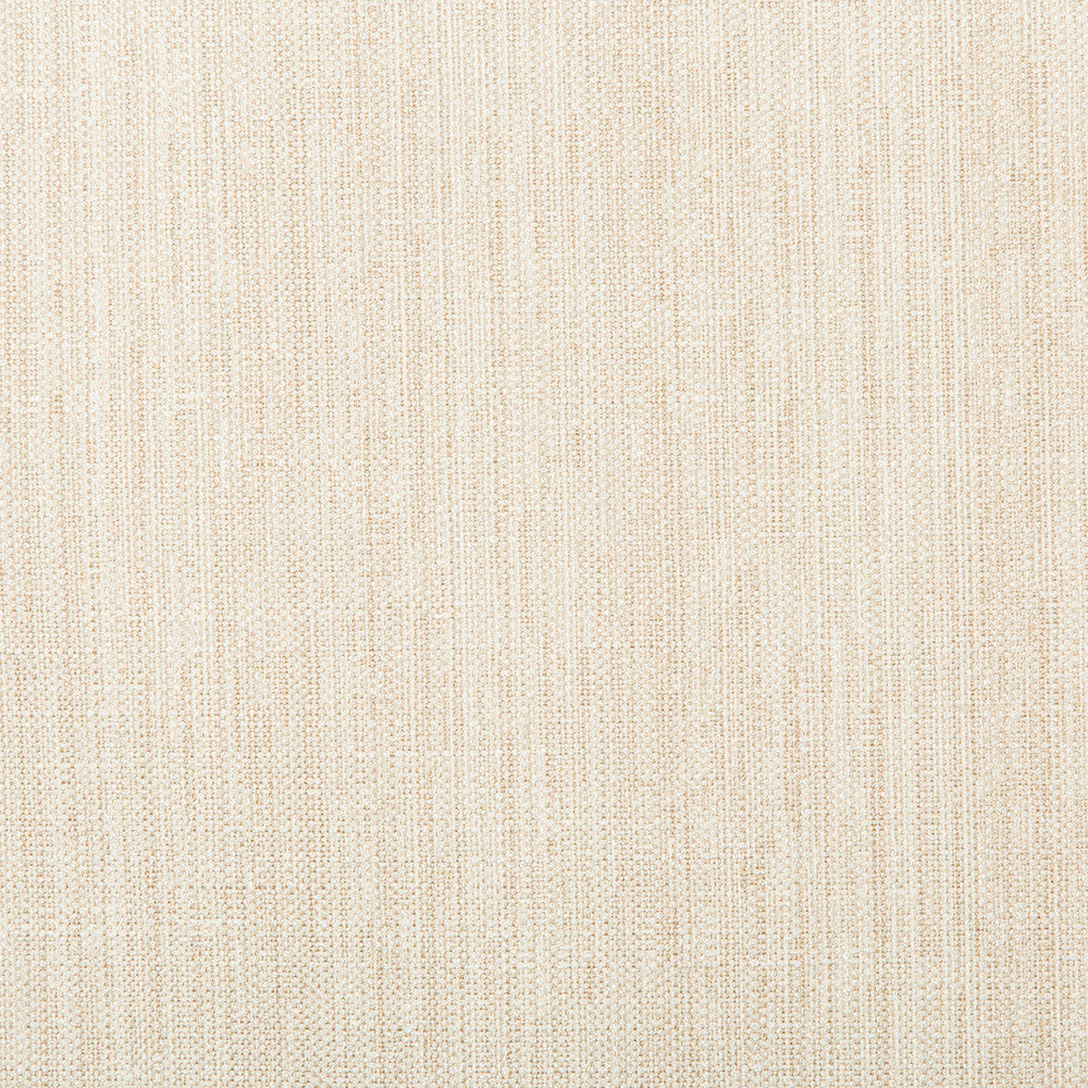 Kravet Basics 4665-1 by Kravet Basics Fabric Kravet Basics Fabric Kravet Basics 4665-1Fabric POLYESTER - 83%;RAYON - 12%;COTTON - 5% India </p><p>Repeat: H: , V: 55 - Fabric Carolina -
