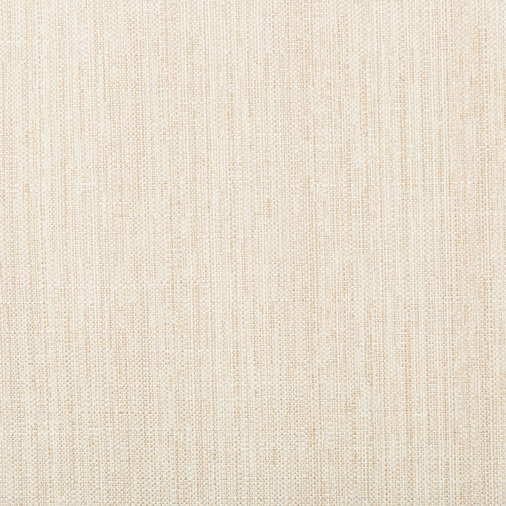4665-1 by Kravet Basics Fabric POLYESTER - 83%;RAYON - 12%;COTTON - 5% India HEAVY Horizontal: and Vertical: 55 - Fabric Carolina -