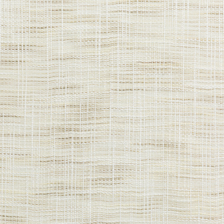 4666-1 by Kravet Basics Fabric POLYESTER FR - 100% India Horizontal: and Vertical: 54 - Fabric Carolina -