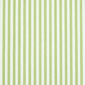Edwin Stripe Narrow Leaf 5011869 by Schumacher Wallpaper