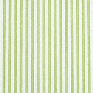 Edwin Stripe Narrow Leaf 5011869 by Schumacher Wallpaper