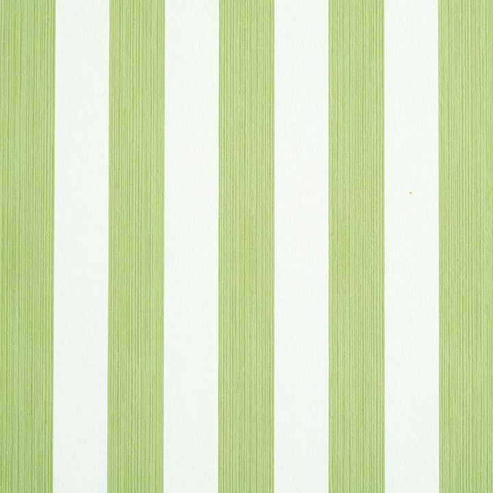 Edwin Stripe Medium Leaf 5011889 by Schumacher Wallpaper Stripe Wallcovering Collection 2.44" - Fabric Carolina -