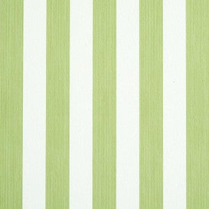 Edwin Stripe Medium Leaf 5011889 by Schumacher Wallpaper