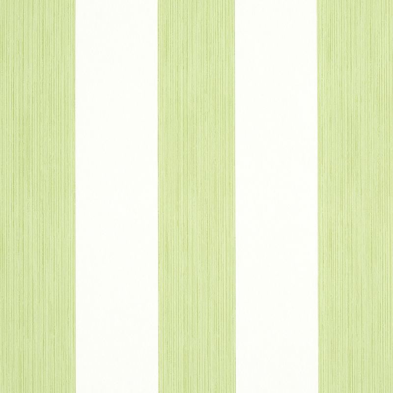 Edwin Stripe Wide Leaf 5011909 by Schumacher Wallpaper Stripe Wallcovering Collection 4.5" - Fabric Carolina -