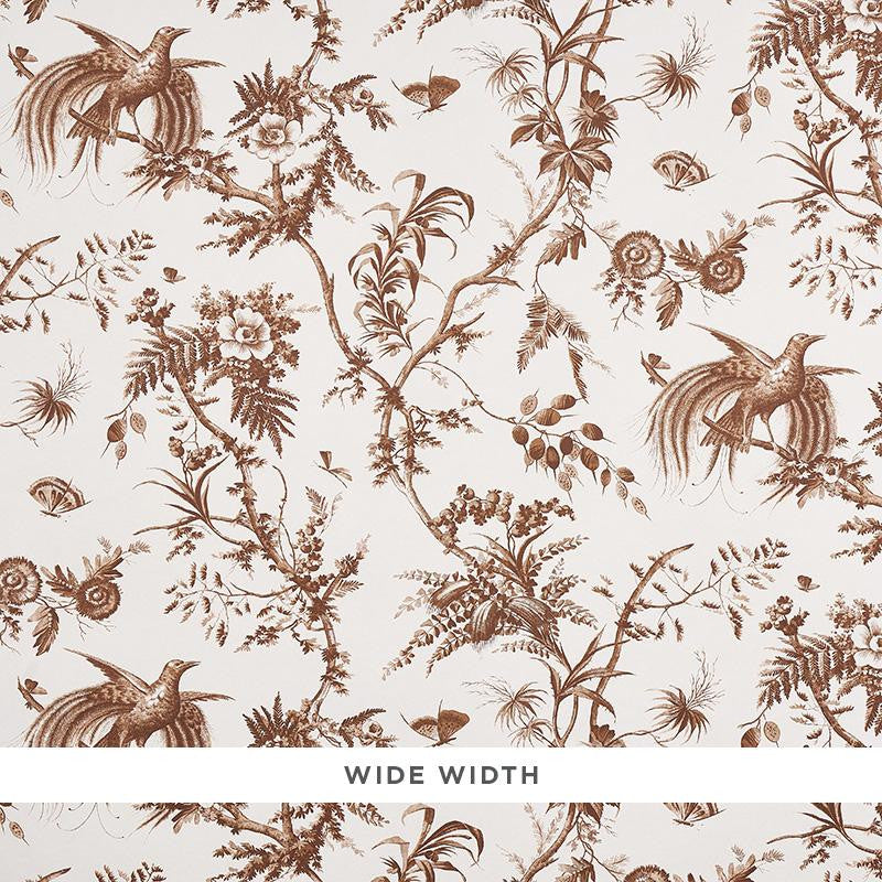 Toile De La Prairie Brown 5011712 by Schumacher Wallpaper Jill Lasersohn 26.88" - Fabric Carolina -