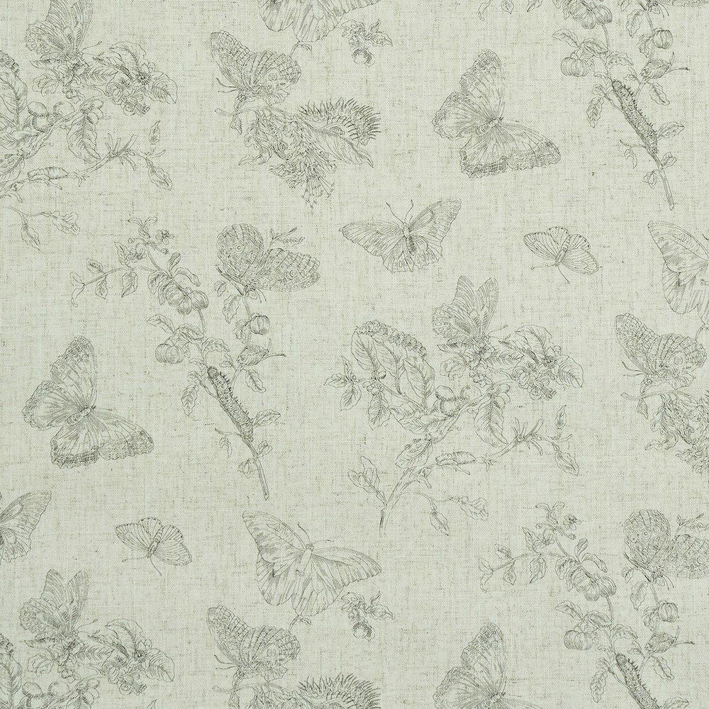 Baudin Butterfly Linen Black 5011830 by Schumacher Wallpaper Perennial Favorites 26.0" - Fabric Carolina -