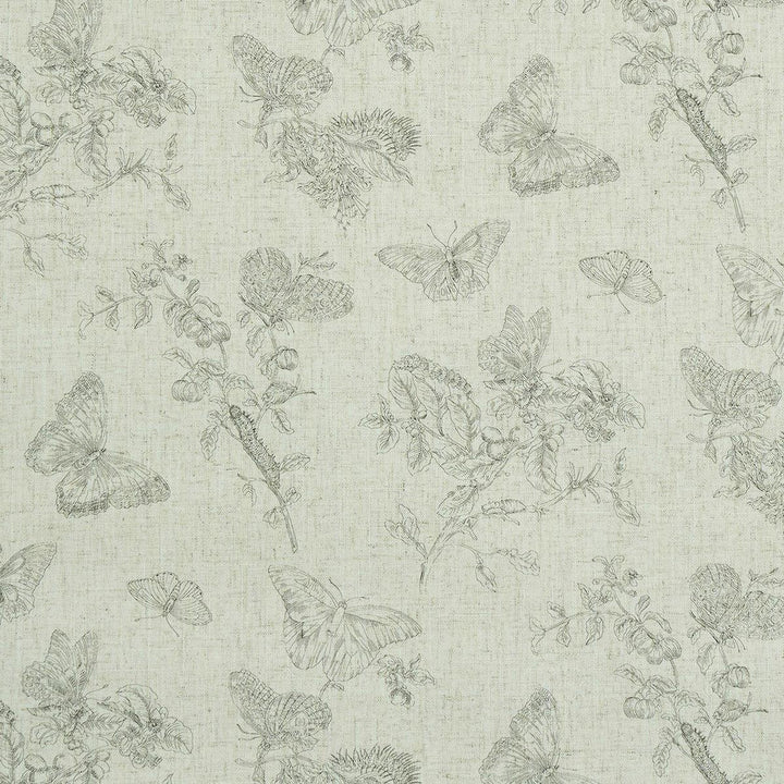 Baudin Butterfly Linen Black 5011830 by Schumacher Wallpaper Perennial Favorites 26.0" - Fabric Carolina -