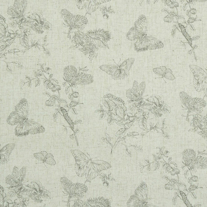 Baudin Butterfly Linen Black 5011830 by Schumacher Designer Wallpaper Perennial Favorites 26.0" - Swanky Fabrics -