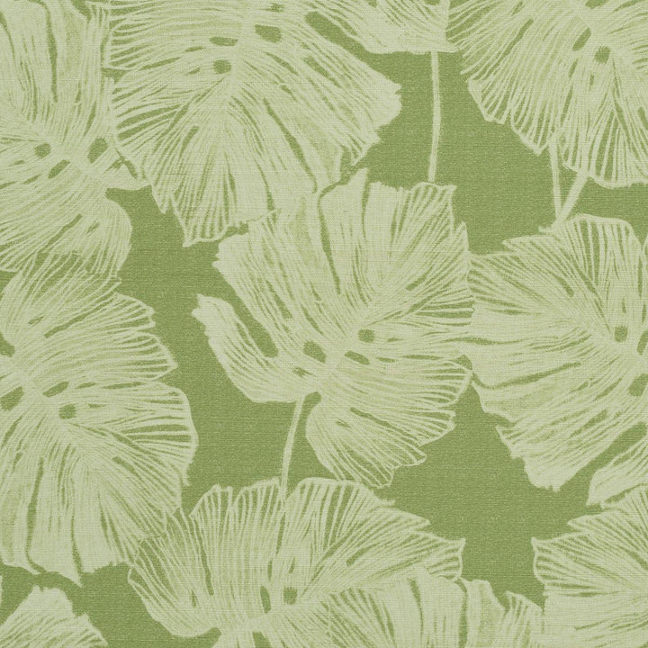 Del Coco Sisal Leaf 5011640 by Schumacher Designer Wallpaper Perennial Favorites 34.5" - Swanky Fabrics -