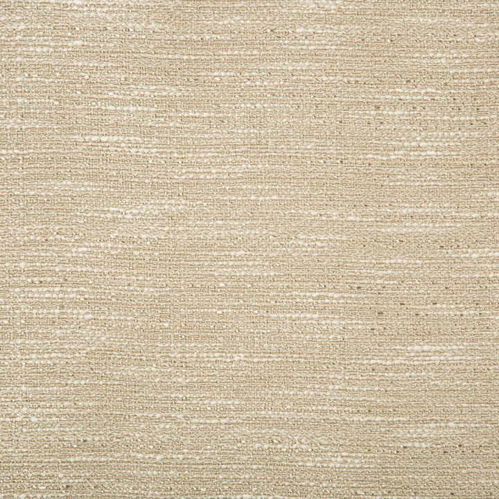 4667-106 by Kravet Basics Fabric POLYESTER - 81%;COTTON - 19% Turkey Horizontal: 0 and Vertical: 0 60 - Fabric Carolina -
