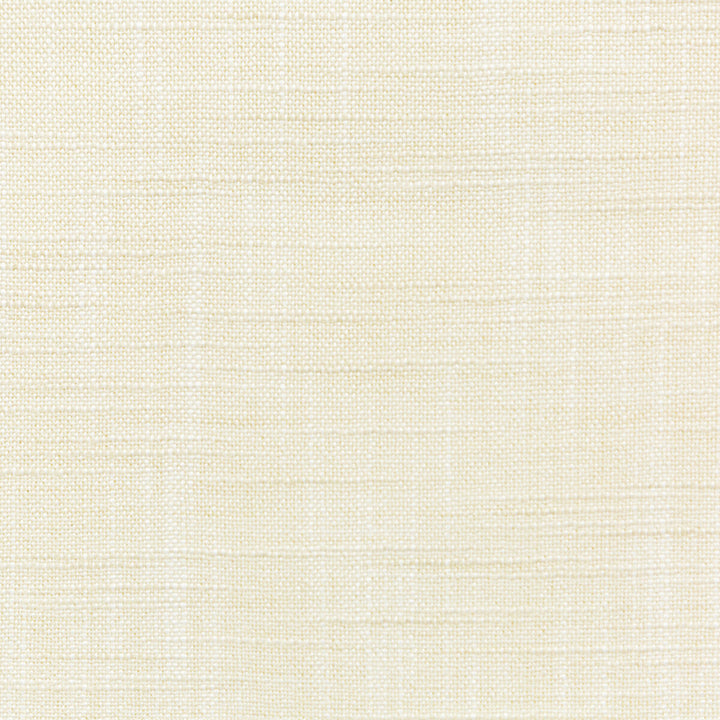 4668-1 by Kravet Basics Fabric - POLYESTER FR - 100% India - Horizontal: 0 and Vertical: 0 54 - Fabric Carolina -