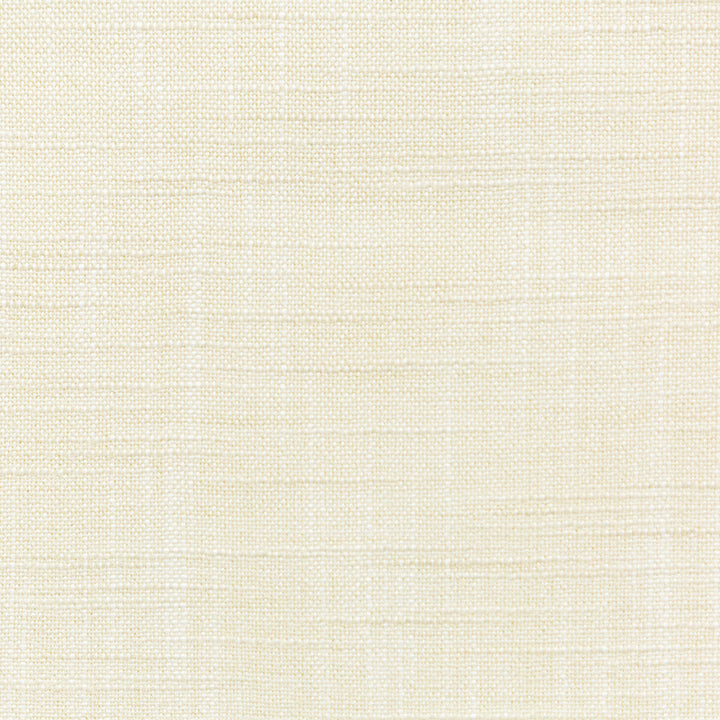 Kravet Basics 4668-1 by Kravet Basics Fabric Kravet Basics Fabric Kravet Basics 4668-1Fabric POLYESTER FR - 100% India </p><p>Repeat: H: 0, V: 0 54 - Fabric Carolina -