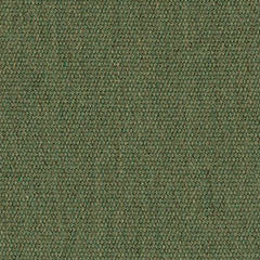 4671 Fern by Sunbrella Fabric