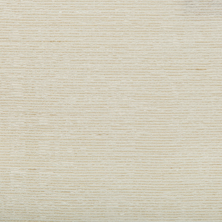 4671-1 by Kravet Basics Fabric VISCOSE - 73%;POLYESTER - 27% India Horizontal: and Vertical: 54 - Fabric Carolina -