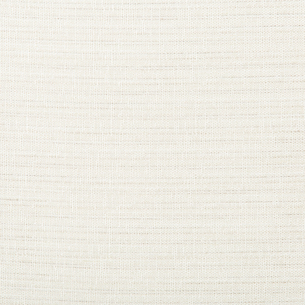 4673-101 by Kravet Basics Fabric POLYESTER - 100% India Horizontal: 0 and Vertical: 0 54 - Fabric Carolina -