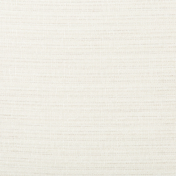4673-101 by Kravet Basics Fabric POLYESTER - 100% India Horizontal: 0 and Vertical: 0 54 - Fabric Carolina -