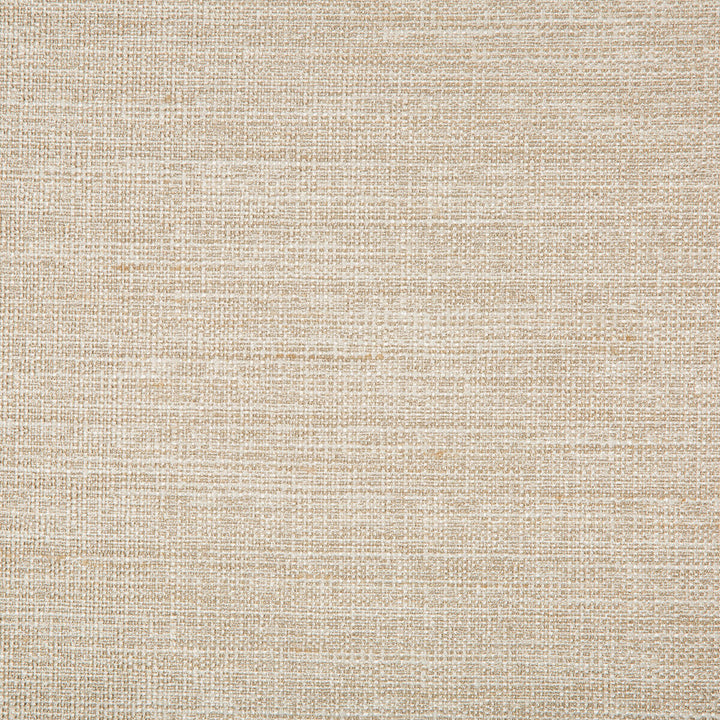 4673-16 by Kravet Basics Fabric - POLYESTER - 100% India - Horizontal: 0 and Vertical: 0 54 - Fabric Carolina -