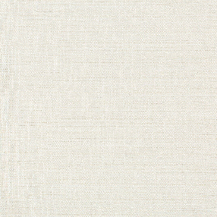Kravet Basics 4673-1 by Kravet Basics Fabric Kravet Basics Fabric Kravet Basics 4673-1Fabric POLYESTER - 100% India </p><p>Repeat: H: 0, V: 0 54 - Fabric Carolina -