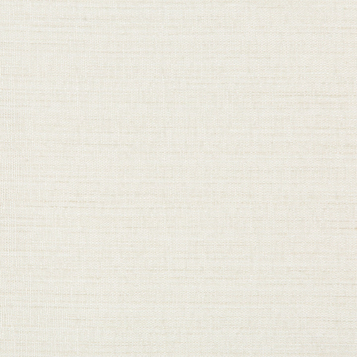 4673-1 by Kravet Basics Fabric - POLYESTER - 100% India - Horizontal: 0 and Vertical: 0 54 - Fabric Carolina -