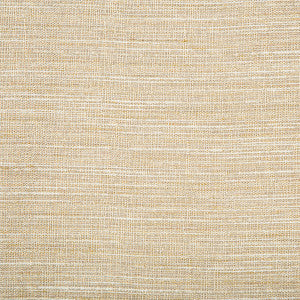 Kravet Basics 4673-416 by Kravet Basics Fabric