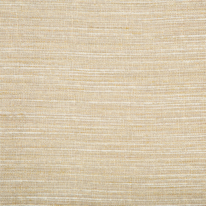 Kravet Basics 4673-416 by Kravet Basics Fabric Kravet Basics Fabric Kravet Basics 4673-416Fabric POLYESTER - 100% India </p><p>Repeat: H: 0, V: 0 54 - Fabric Carolina -