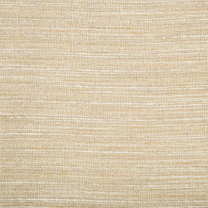 Kravet Basics 4673-416 by Kravet Basics Fabric
