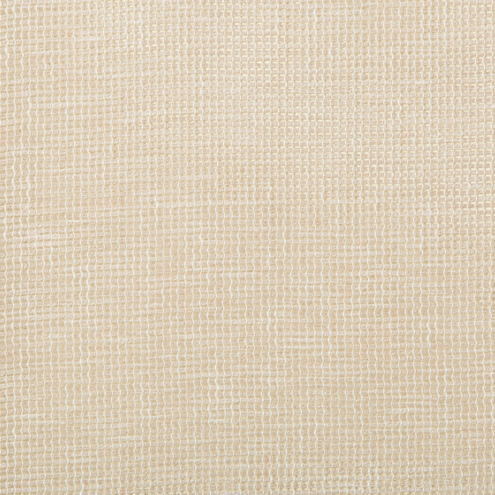 Kravet Basics 4675-16 by Kravet Basics Fabric Kravet Basics Fabric Kravet Basics 4675-16Fabric COTTON - 50%;POLYESTER - 50% India </p><p>Repeat: H: 0, V: 0 54 - Fabric Carolina -
