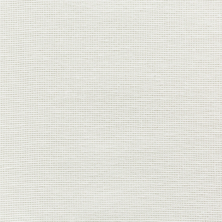 4675-1 by Kravet Basics Fabric COTTON - 50%;POLYESTER - 50% India Horizontal: 0 and Vertical: 0 54 - Fabric Carolina -
