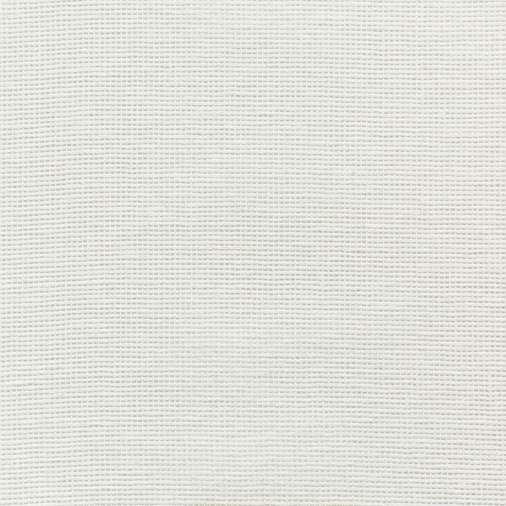 4675-1 by Kravet Basics Fabric - COTTON - 50%;POLYESTER - 50% India - Horizontal: 0 and Vertical: 0 54 - Fabric Carolina -