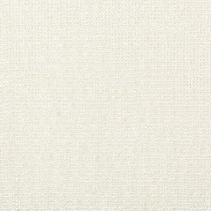 4676-1 by Kravet Basics Fabric POLYESTER - 85%;COTTON - 15% India Horizontal: 0 and Vertical: 0 54 - Fabric Carolina -
