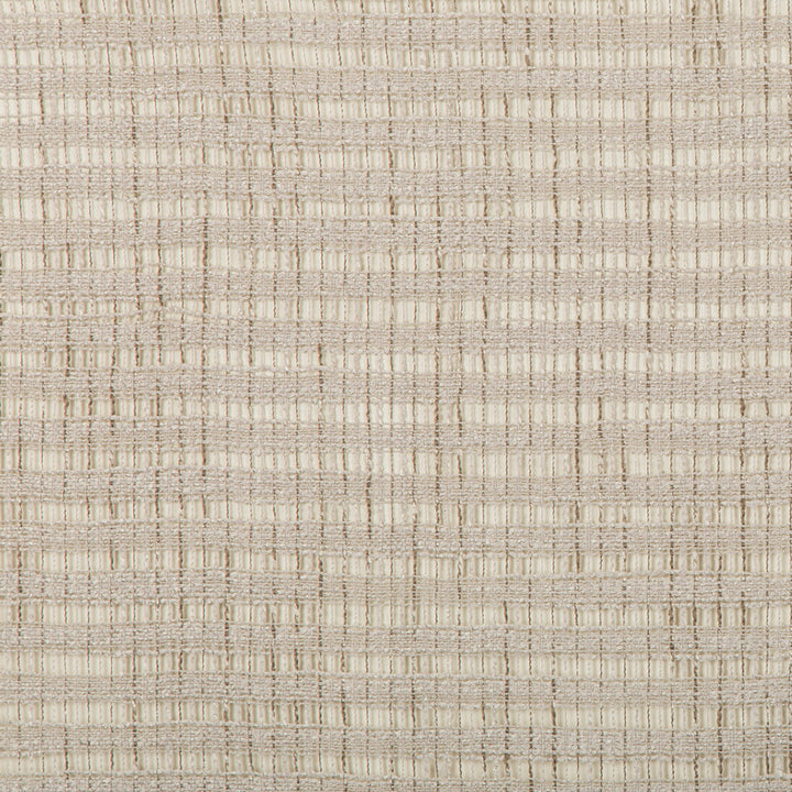 4677-106 by Kravet Basics Fabric POLYESTER - 61%;VISCOSE - 39% India Horizontal: and Vertical: 54 - Fabric Carolina -