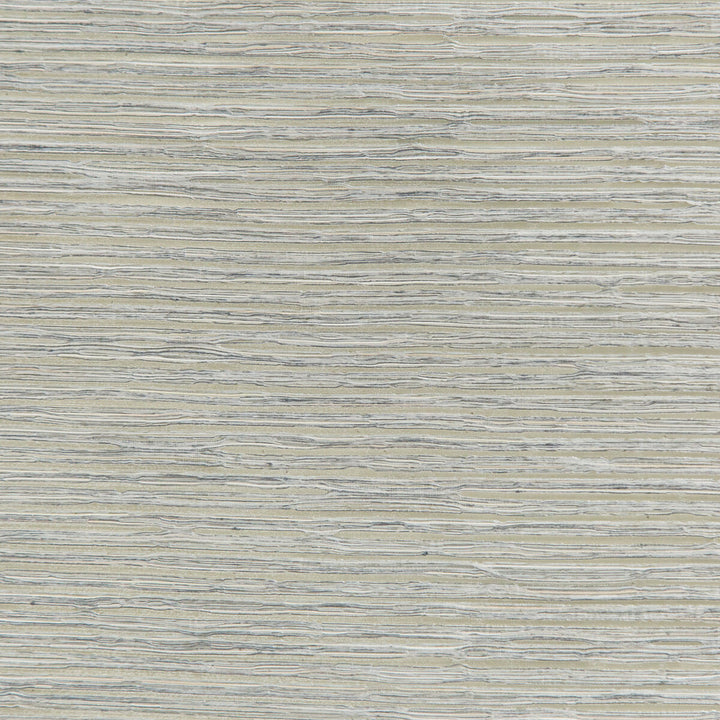 4681-11 by Kravet Basics Fabric - POLYESTER - 91%;COTTON - 9% India - Horizontal: - and Vertical: - 54 - Fabric Carolina -