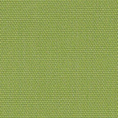 4685 Gingko by Sunbrella Fabric