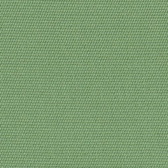 4688 Basil by Sunbrella Fabric
