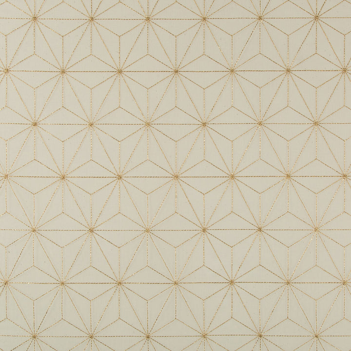 4697-14 by Kravet Basics Fabric POLYESTER - 100% Turkey Horizontal: 3.75 and Vertical: 6.25 54 - Fabric Carolina -