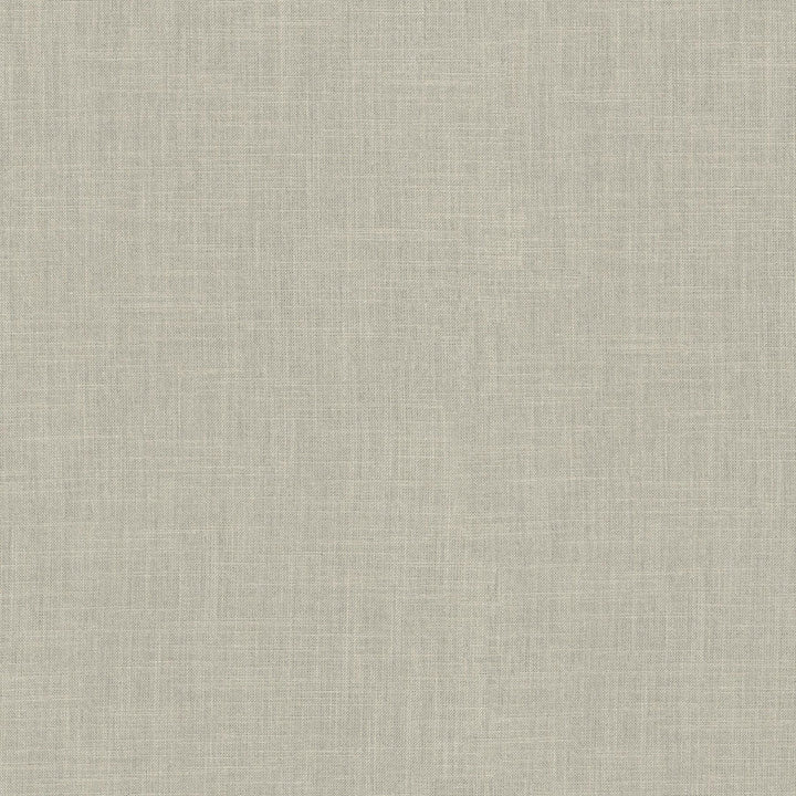 Millbrook Flax 470500 by PKL Studio Fabric - 52% cotton, 48% polyester India 51000 Horizontal: N/A and Vertical: N/A 55 - Fabric Carolina -