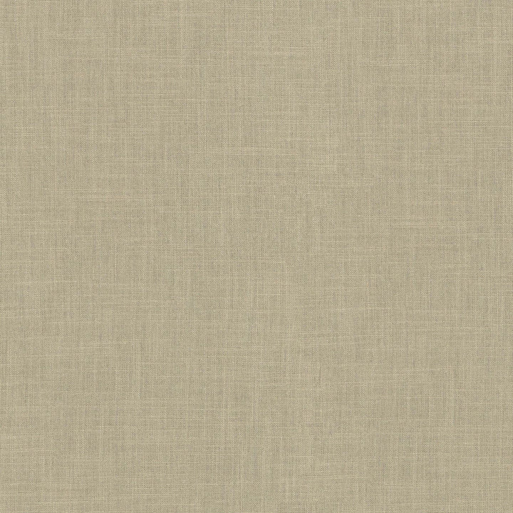 Millbrook Linen 470501 by PKL Studio Fabric - 52% cotton, 48% polyester India 51000 Horizontal: N/A and Vertical: N/A 55 - Fabric Carolina -