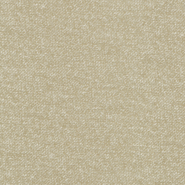 Despina Linen 470670 by PKL Studio Fabric - 100% polyester India 51000 Horizontal: 9.25 and Vertical: 12.125 55 - Fabric Carolina -