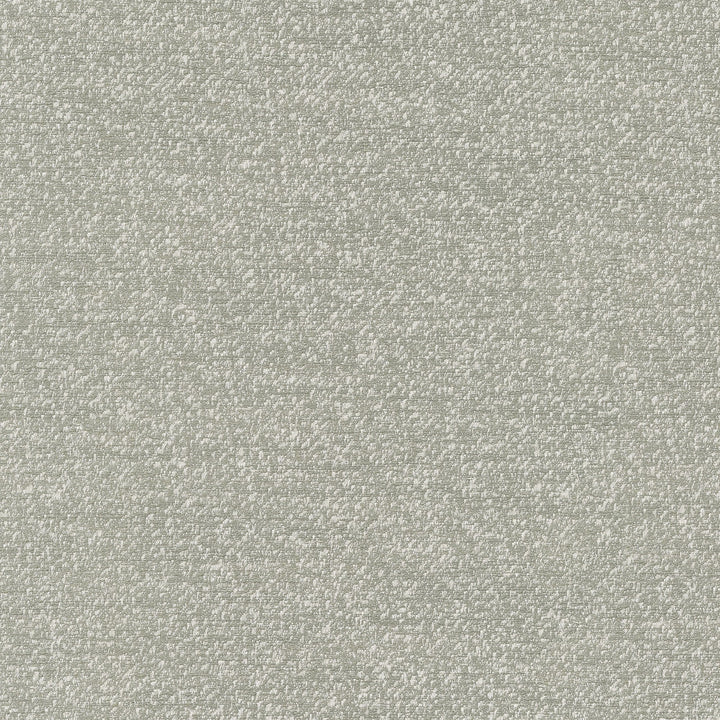 Despina Gray 470672 by PKL Studio Fabric - 100% polyester India 51000 Horizontal: 9.25 and Vertical: 12.125 55 - Fabric Carolina -