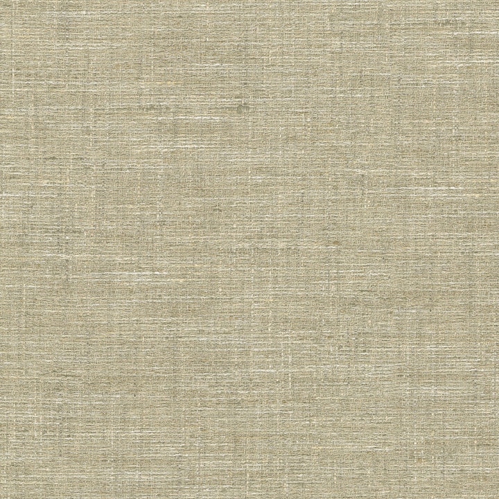 Lyra Linen 470721 by PKL Studio Designer Fabric - 100% polyester India 51000 Horizontal: N/A and Vertical: N/A 56 - Swanky Fabrics -