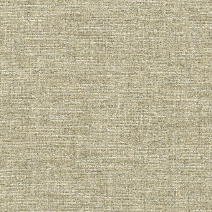 Lyra Linen 470721 by PKL Studio Fabric - 100% polyester India 51000 Horizontal: N/A and Vertical: N/A 56 - Fabric Carolina -