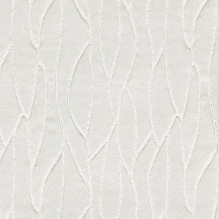 Orion White 470734 by PKL Studio Fabric - 100% polyester India 41000 Horizontal: 9 and Vertical: 9.88 54 - Fabric Carolina -