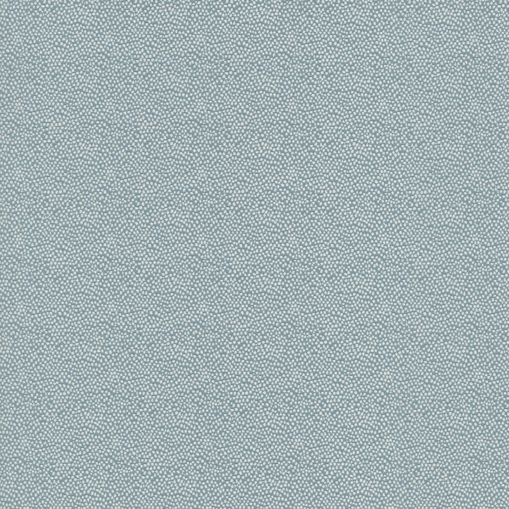 Vela Sky 470790 by PKL Studio Fabric - 45% polyester, 55% cotton India 51000 Horizontal: 2.38 and Vertical: 1.75 56 - Fabric Carolina -