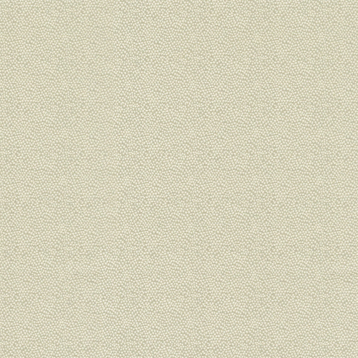 Vela Sand 470793 by PKL Studio Designer Fabric - 45% polyester, 55% cotton India 51000 Horizontal: 2.38 and Vertical: 1.75 56 - Swanky Fabrics -