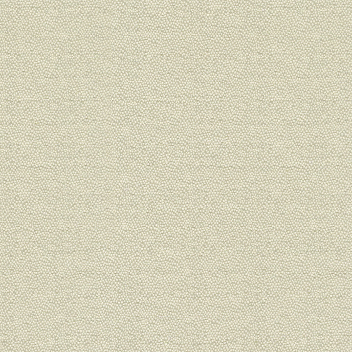Vela Sand 470793 by PKL Studio Fabric - 45% polyester, 55% cotton India 51000 Horizontal: 2.38 and Vertical: 1.75 56 - Fabric Carolina -