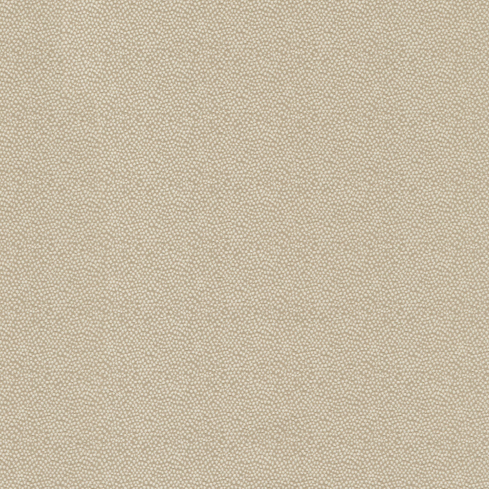 Vela Cameo 470795 by PKL Studio Fabric - 45% polyester, 55% cotton India 51000 Horizontal: 2.38 and Vertical: 1.75 56 - Fabric Carolina -